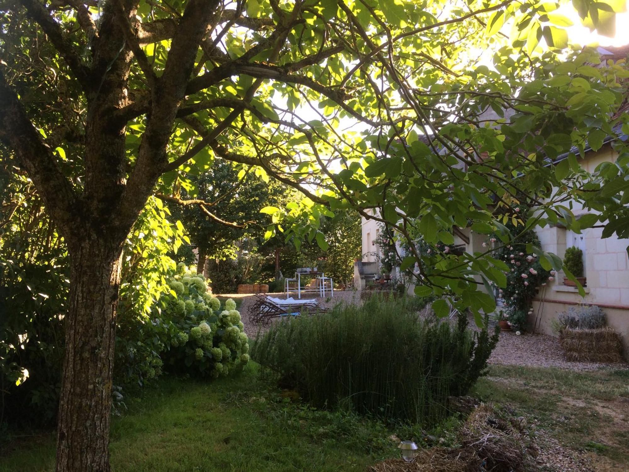 Une Maison, Un Jardin Berthenay Dış mekan fotoğraf
