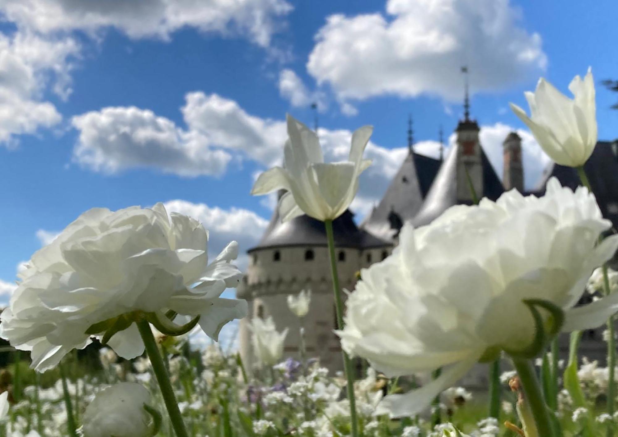 Une Maison, Un Jardin Berthenay Dış mekan fotoğraf